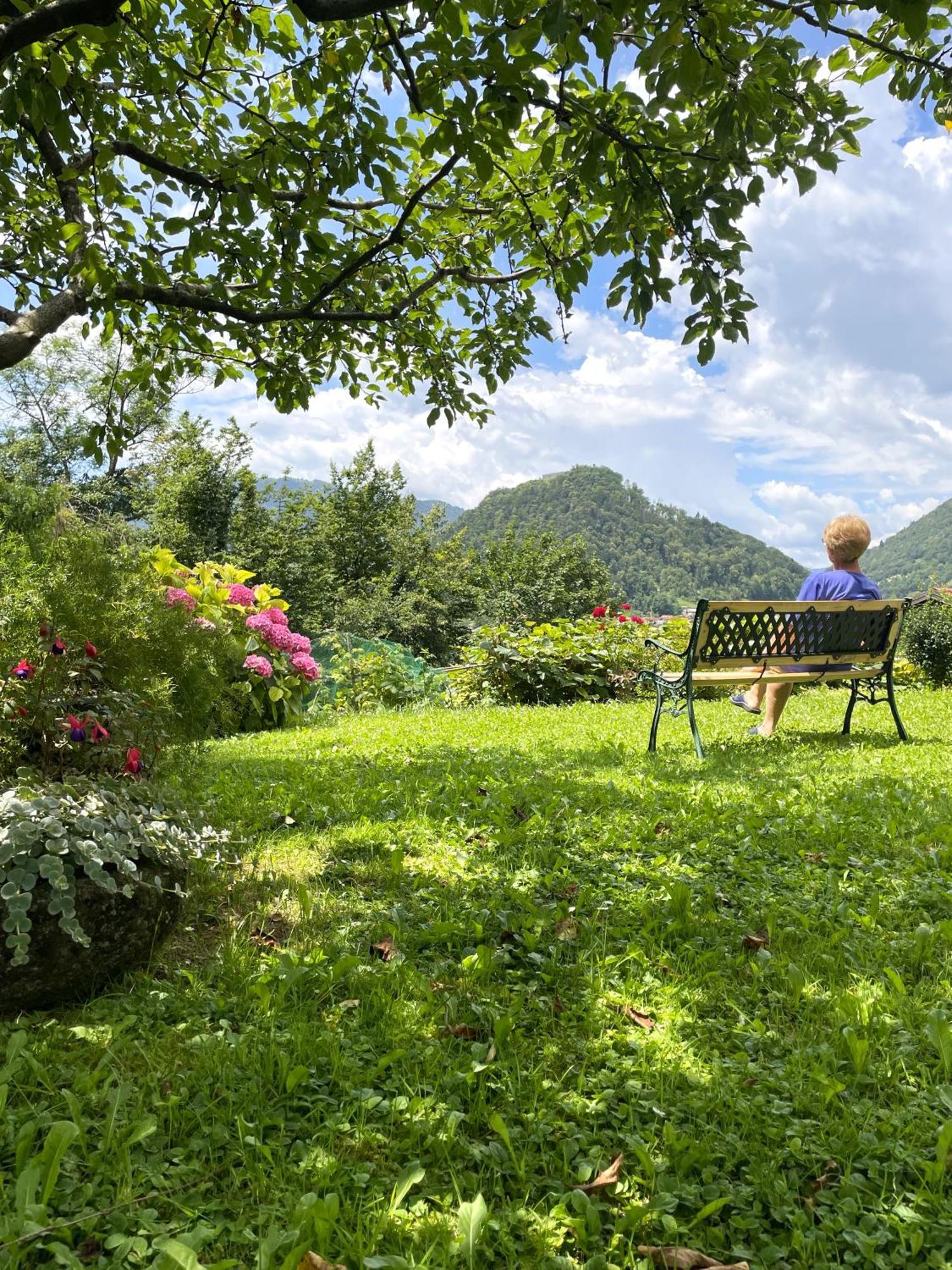 Apartma Savan Tolmin Exterior foto